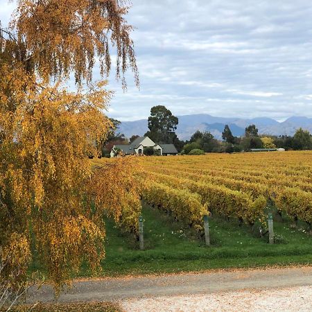 Vineyard Cottage In Blenheim On The Golden Mile Luaran gambar