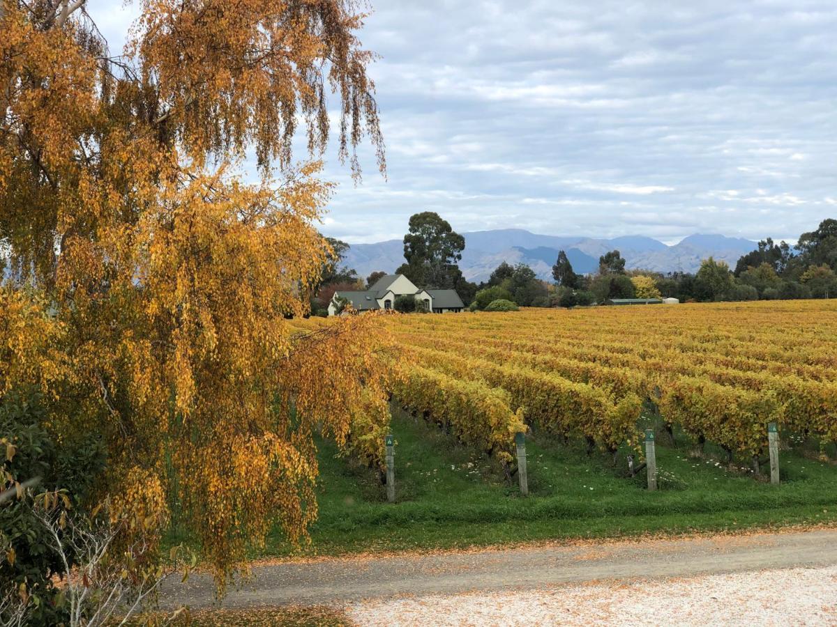 Vineyard Cottage In Blenheim On The Golden Mile Luaran gambar